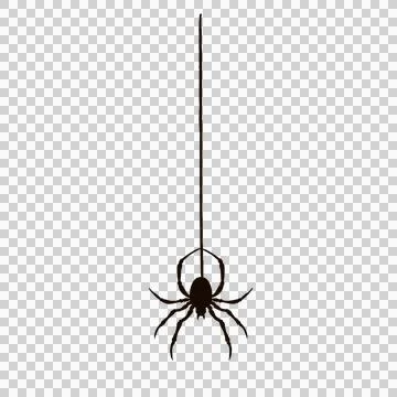 Spider silhouette is dangling from thin silk thread in flat design with 库存插图