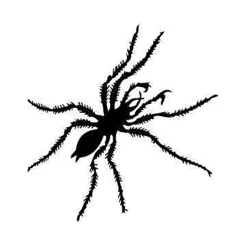 Spider Silhouette Stock Illustration