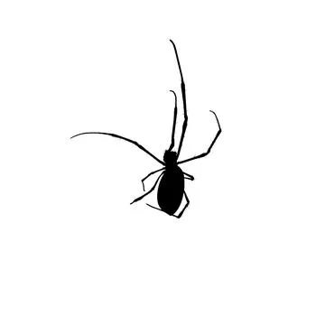 Spider Silhouette Stock Illustration