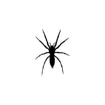 Spider Silhouette Stock Illustration