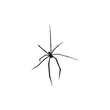Spider Silhouette Stock Illustration