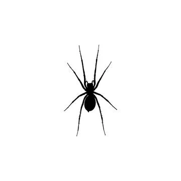 Spider Silhouette Stock Illustration