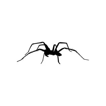 Spider Silhouette Stock Illustration