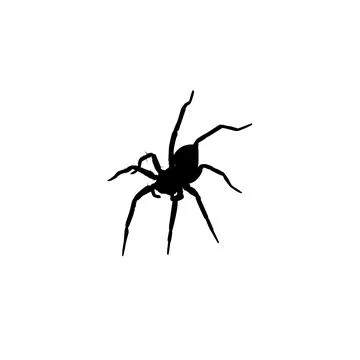 Spider Silhouette Illustrazione stock