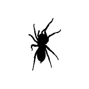 Spider Silhouette Stock Illustration