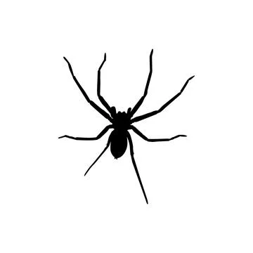 Spider Silhouette Stock Illustration