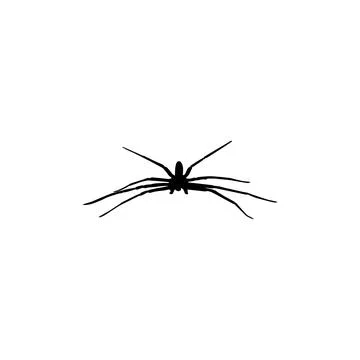 Spider Silhouette Stock Illustration
