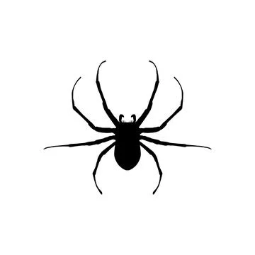 Spider Silhouette Stock Illustration