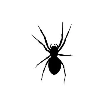 Spider Silhouette Stock Illustration
