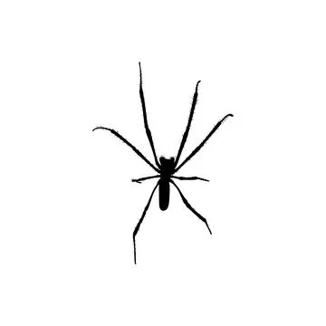 Spider Silhouette Stock Illustration