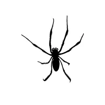 Spider Silhouette Stock Illustration