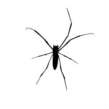 Spider Silhouette Stock Illustration