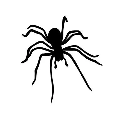 Spider Silhouette. Tarantula icon. Vector illustration isolated on white Stock Illustration