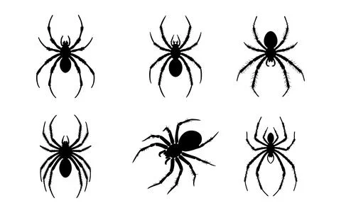 Spider silhouette vector set on white background Stock-Illustration