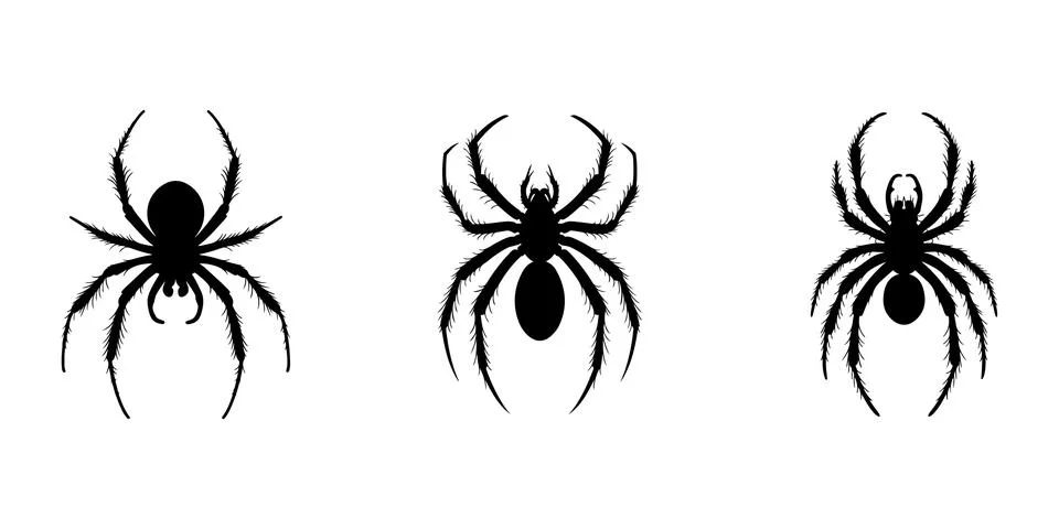 Spider silhouette vector set on white background Ilustración de archivo