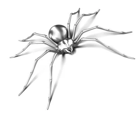 Spider - silver metallic. Black Widow. Isolated on white Stock Illustration