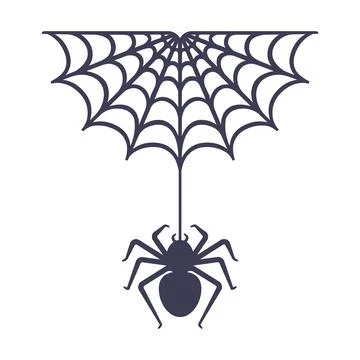 The spider sits on the web. Stock Illustration