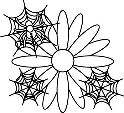 Spider sits on a web near a daisy イラスト素材