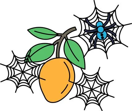 Spider sits on web near fruit branch Stock Illustration