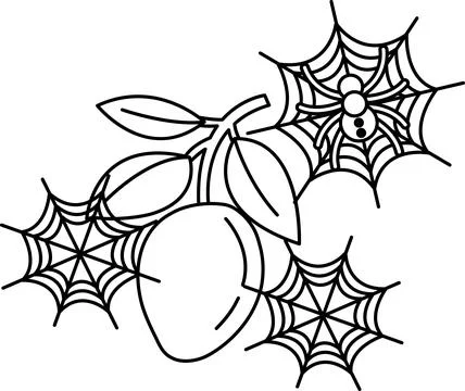 Spider sits on web near fruit branch Stock Illustration