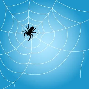 Spider sits on web - outline of cobweb Stock Illustration