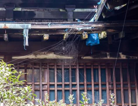 Spider sitting on a spider web on old historical building Stock Photos