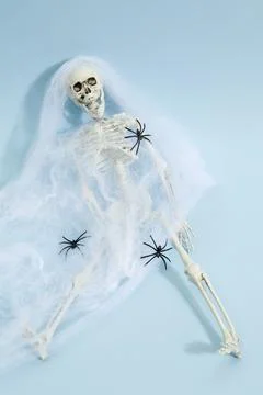Spider skeleton Stock Photos