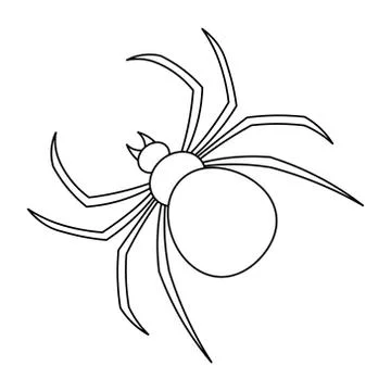 Spider. Sketch. A clever hunter. Vector illustration. Stock Illustration