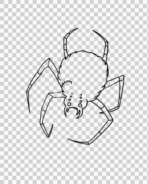 Spider skull on back linear sketch Halloween clipart scary insect hand drawn ink イラスト素材