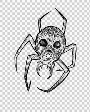 Spider skull on back linear sketch Halloween clipart scary insect hand drawn ink イラスト素材