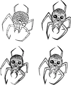 Spider skull on back linear sketch Halloween clipart scary insect hand draw.. イラスト素材