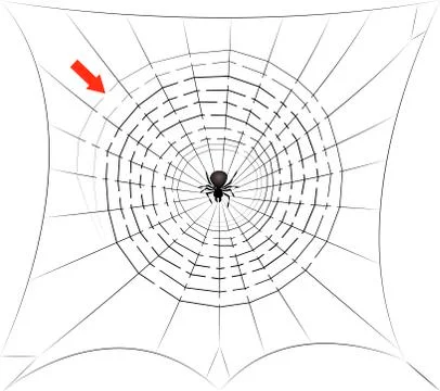 Spider In Spiders Web Center Lurking Stock Illustration