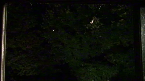 Spider Spins a Web Complete Vídeos de archivo 41692872