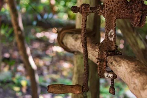 Spider on spot. Stock Photos