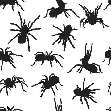 Spider, tarantula, pattern, insect, danger, bite, black Illustrazione stock