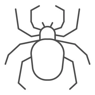 Spider thin line icon, Insects concept, Scary arachnid insect sign on white Illustrazione stock
