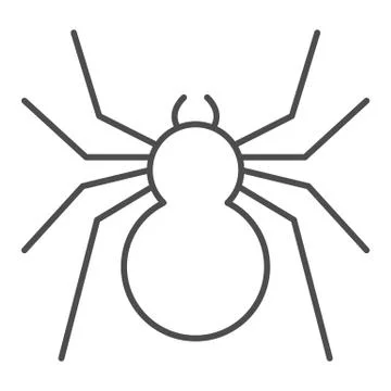 Spider thin line icon, Insects concept, predatory arachnid sign on white 스톡 일러스트