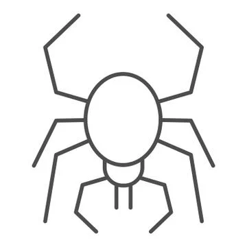 Spider thin line icon. Scary arachnid insect. Halloween party vector design Stock Illustration