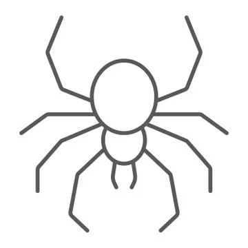 Spider thin line icon, spooky and animal, arachnid sign, vector graphics, a Stock Illustration