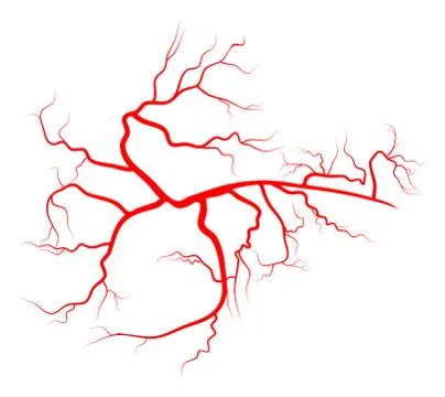 Spider vein vector symbol icon design. Beautiful illustration isolated on whi Stock Illustration