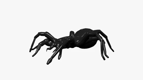 SPIDER WALKING FRONT LEFT VIEW Video stock 98912648