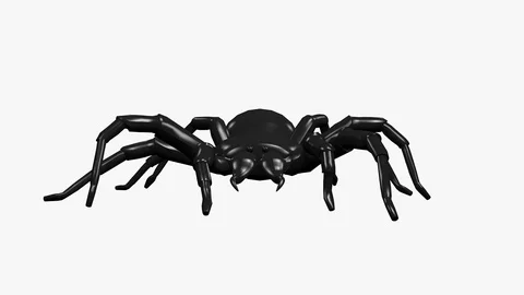 SPIDER WALKING FRONT VIEW Vídeos de archivo 98912609