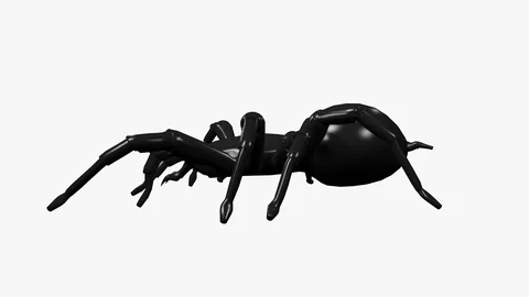 SPIDER WALKING LEFT VIEW Vídeos de archivo 98912599