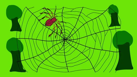 A spider is walking over its net. Video stock 148294419