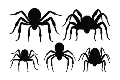Spider walking silhouette bundle design. Wild spider vector design on a whi.. Stock Illustration