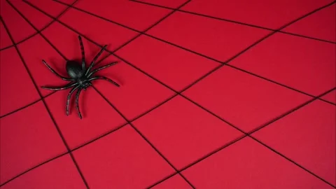 A spider walks on a red background making a web. Stop motion animation Stock Footage 254365568