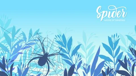 A spider weaves a web in the grass background. Life of insects in the wild Stock Illustration