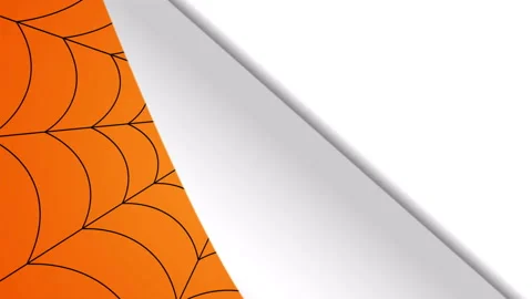 Spider weaves a web of halloween Stock Footage 95497172