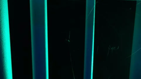 Spider in web 1 Video stock 252010408