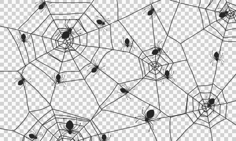 Spider web 2 스톡 일러스트